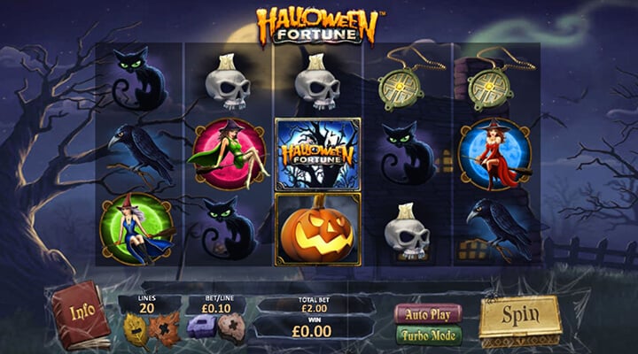Screenshot 11